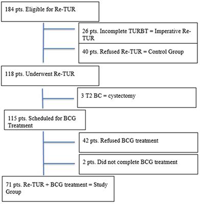 Is Repeat Transurethral Resection Always Needed in High-Grade T1 Bladder Cancer?